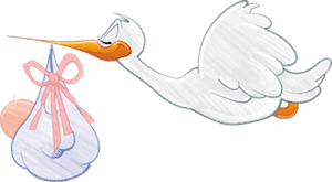 Zwangerschaps reflexologie Anahata Voetreflexpraktijk Houten